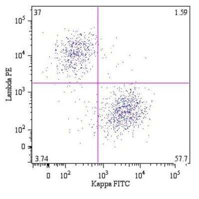 Flow Cytometry: Lambda Light Chain Antibody (4C2) - BSA Free [NBP1-45071]