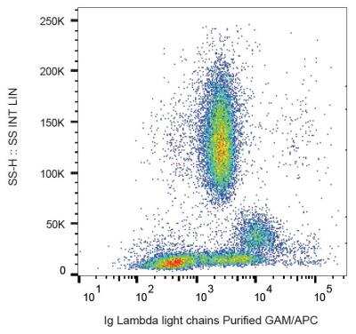 Flow Cytometry: Lambda Light Chain Antibody (4C2) - BSA Free [NBP1-45071]