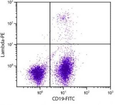 Flow Cytometry: Lambda Light Chain Antibody - Azide and BSA Free [NB100-62139]