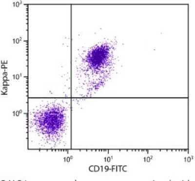 Flow Cytometry: Lambda Light Chain Antibody - Azide and BSA Free [NB100-62139]