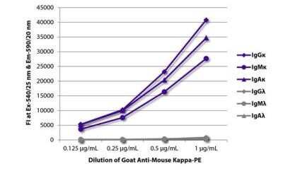Fluorophore-linked immunosorbent assay: Lambda Light Chain Antibody - Azide and BSA Free [NB100-62139]
