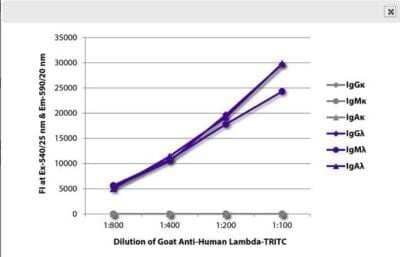 Fluorophore-linked immunosorbent assay: Lambda Light Chain Antibody - Azide and BSA Free [NB100-62139]