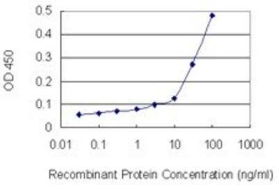 ELISA: Lamin B1 Antibody (4B10) [H00004001-M01]