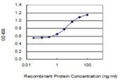 ELISA: Lamin B1 Antibody (4E4) [H00004001-M03]