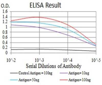 ELISA: Lamin B2 Antibody (2E2F4) - BSA Free [NBP2-61818]