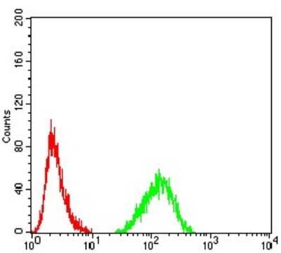 Flow Cytometry: Lamin B2 Antibody (2E2F4) - BSA Free [NBP2-61818]
