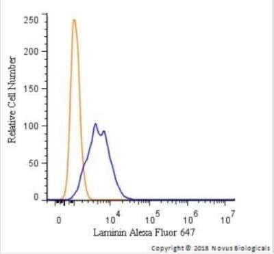 Flow Cytometry of HeLa Cells Stained with Conjugated Laminin Antibody