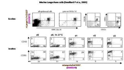 Flow Cytometry: Langerin/CD207 Antibody (205C1) [DDX0370P-100]
