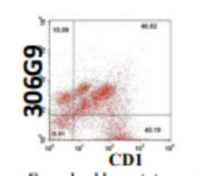 Flow Cytometry: Langerin/CD207 Antibody (306G9) [DDX0368P-100]