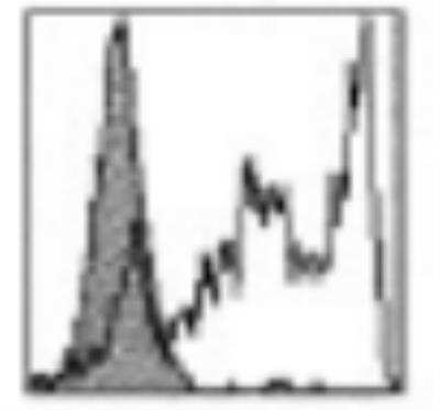 Flow Cytometry: Langerin/CD207 Antibody (306G9) [DDX0368P-100]