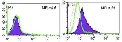 Flow Cytometry: Langerin/CD207 Antibody (310F7.02) [DDX0361P-100]