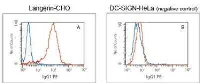 Flow (Intracellular): Langerin/CD207 Antibody (310F7.02) [DDX0361P-100]