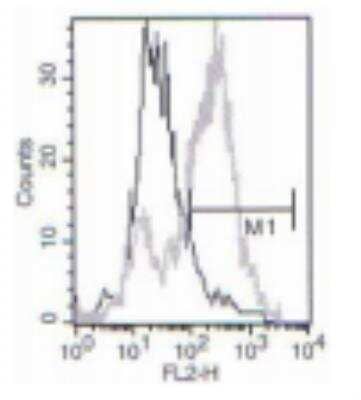 Flow Cytometry: Langerin/CD207 Antibody (808E10.01) [DDX0360P-100]