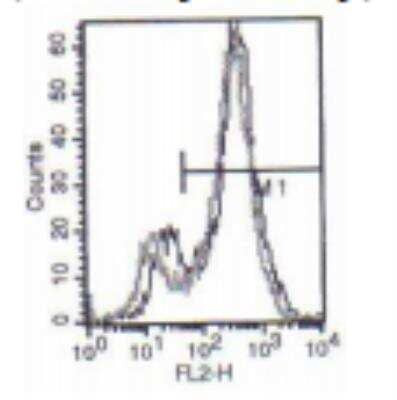 Flow Cytometry: Langerin/CD207 Antibody (808E10.01) [DDX0360P-100]