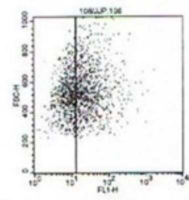 Flow Cytometry: Langerin/CD207 Antibody (918A11) [DDX0376P-100]