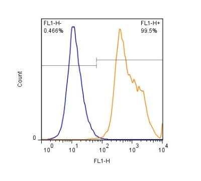 Flow (Intracellular): Latexin Antibody [NBP2-24530]