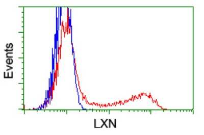 Flow Cytometry: Latexin Antibody (OTI1E10) [NBP2-01382]