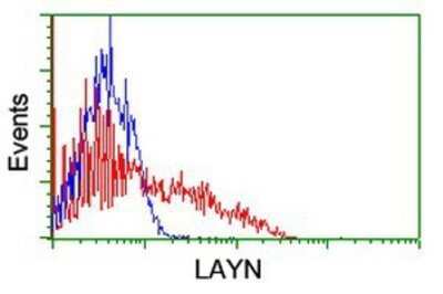 Flow Cytometry: Layilin Antibody (OTI4C11) - Azide and BSA Free [NBP2-72402]