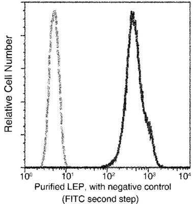 Flow Cytometry: Leptin/OB Antibody (002) [NBP2-89345]