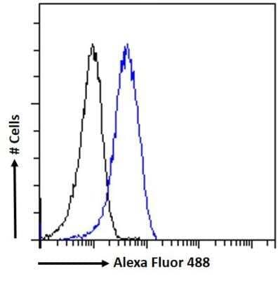 Flow Cytometry: Leptin R Antibody [NB100-40796]