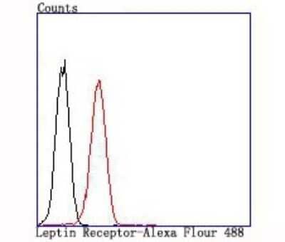 Flow Cytometry: Leptin R Antibody (JA73-01) [NBP2-66931]