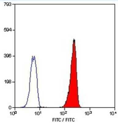 Flow Cytometry: Leukotriene B4 R1 Antibody (202/7B1) - BSA Free [NB100-64831]