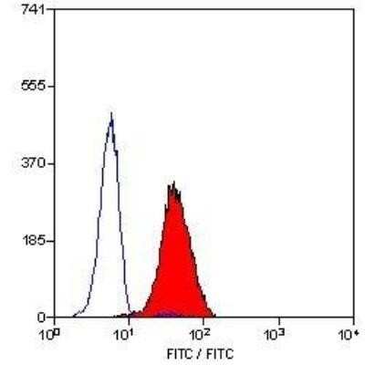 Flow Cytometry: Leukotriene B4 R1 Antibody (202/7B1) - BSA Free [NB100-64831]