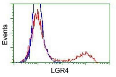 Flow Cytometry: Lgr4/GPR48 Antibody (OTI2D1) - Azide and BSA Free [NBP2-72006]