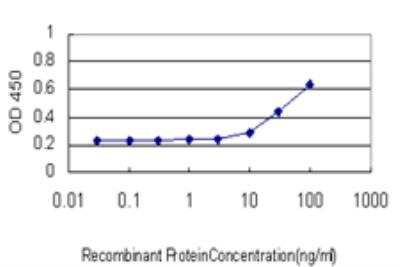 ELISA: Lhx4 Antibody (4D7) [H00089884-M05]