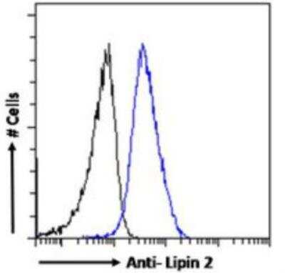 Flow Cytometry: Lipin 2 Antibody [NBP3-00525]