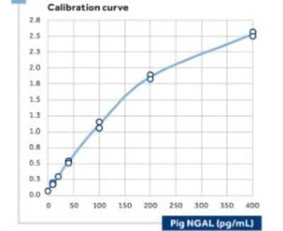 ELISA: Lipocalin-2/NGAL Antibody (17) - BSA Free [NBP1-30005]