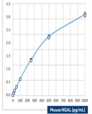 ELISA: Lipocalin-2/NGAL Antibody (10) - BSA Free [NBP2-21746]