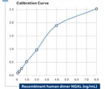 ELISA: Lipocalin-2/NGAL Antibody (14) - BSA Free [NBP1-30002]