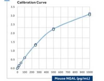 ELISA: Lipocalin-2/NGAL Antibody (29) - BSA Free [NBP1-05183]