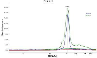 Simple Western: Lipolysis Stimulated Lipoprotein Receptor Antibody [NBP1-89631]
