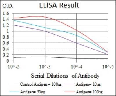 ELISA: Lipoprotein a Antibody (4H1) - BSA Free [NBP2-37477]