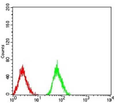 Flow Cytometry: LRP-1 Antibody (3F12E2) - BSA Free [NBP2-52505]