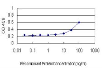 ELISA: Lunatic Fringe Antibody (1F9) [H00003955-M03]