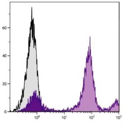 Flow Cytometry: Ly-6C Antibody (HK1.4) - Azide and BSA Free [NBP1-28046]