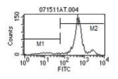 Flow Cytometry: Ly-6C Antibody (HK1.4) - Azide and BSA Free [NBP1-28046]