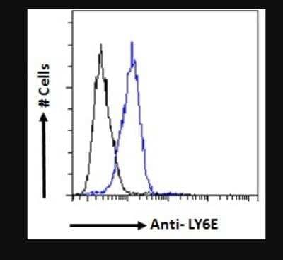 Flow Cytometry: Ly-6E Antibody [NBP1-52176]
