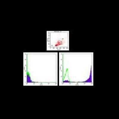 Flow Cytometry: Ly-6G/Ly-6C Antibody (RB6-8C5) - Azide and BSA Free [NBP2-80838]