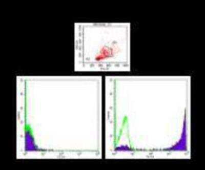 Flow Cytometry: Ly-6G/Ly-6C Antibody (RB6-8C5) [PE] [NBP2-00441PE]