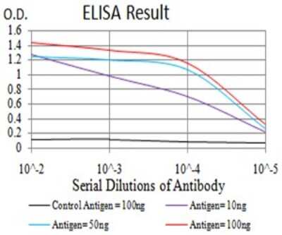 ELISA: Lysine (K)-specific Demethylase 3A/KDM3A/JMJD1A Antibody (3G10C2) - BSA Free [NBP2-61819]