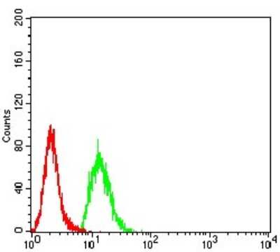 Flow Cytometry: Lysine (K)-specific Demethylase 3A/KDM3A/JMJD1A Antibody (3G10C2) - BSA Free [NBP2-61819]