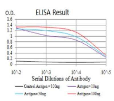 ELISA: Lysine (K)-specific Demethylase 4A/KDM4A/JMJD2A Antibody (6E10G4) - BSA Free [NBP2-52499]