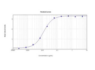 ELISA: Lysozyme Antibody [NBP1-77790]