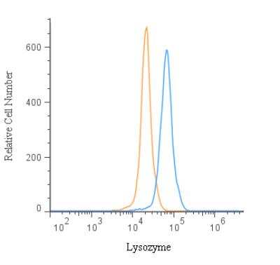 Flow Cytometry: Lysozyme Antibody - BSA Free [NBP2-61118]
