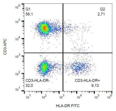Flow (Intracellular): Lysozyme Antibody (LZ598-10G9) [NBP2-62223]