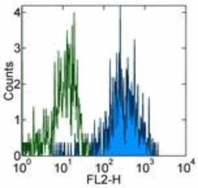 Flow Cytometry: M-CSFR/CD115 Antibody (12-3A3-1B10) - BSA Free [NBP1-43362]